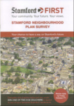 The neighbourhood plan survey